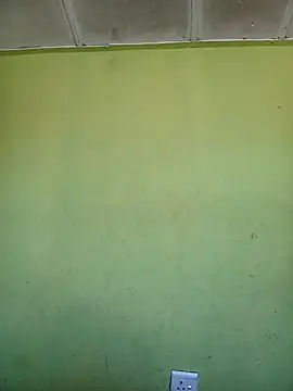 phumlanisanka online show from 7, 11, 2025