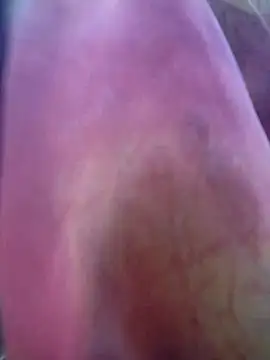 Hita Grewal online show from 27, 11, 2025