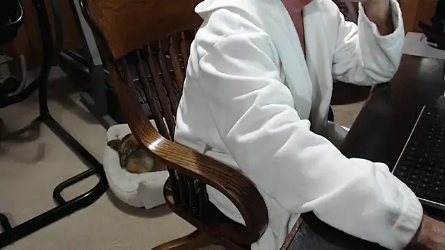 billy471 online show from 30, 11, 2025