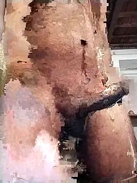 PunjabiSardarBull online show from 14, 2, 2026