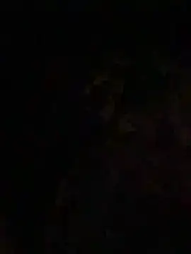 CaptHook931 online show from 2, 4, 2026