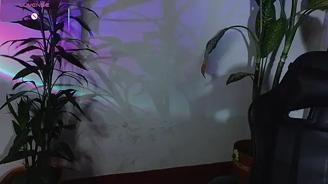 bri von dhara   online show from 12, 4, 2026