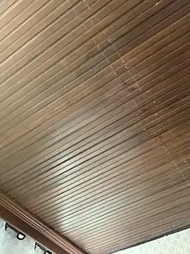 Jasmin Pink online show from 19, 11, 2025