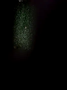 Jasmin Pink online show from 5, 11, 2025