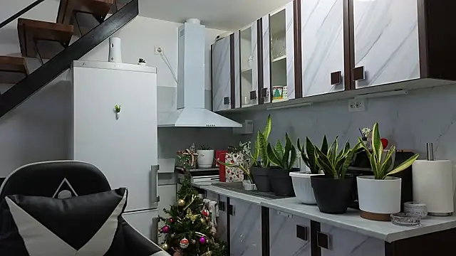 RyanStorm  online show from 10, 1, 2026