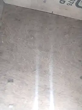 avi007p online show from 28, 2, 2026