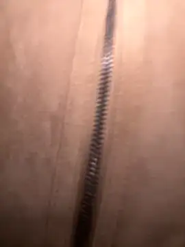 FroggyAnna online show from 1, 11, 2025