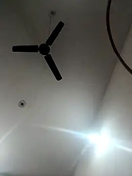 Appypie online show from 18, 11, 2025