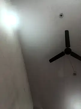 Appypie online show from 8, 11, 2025