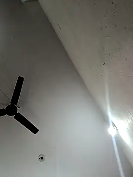 Appypie online show from 12, 11, 2025