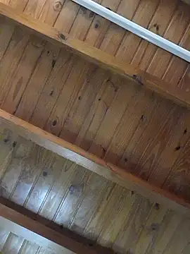 Facosaf online show from 7, 4, 2026