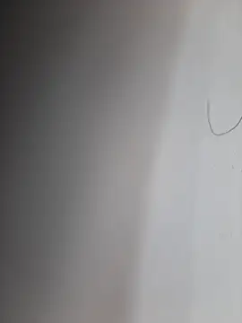 Facosaf online show from 11, 11, 2025