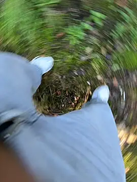 amo660 online show from 20, 9, 2025