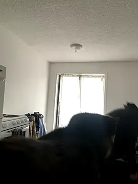 inked nekoo online show from 3, 12, 2025