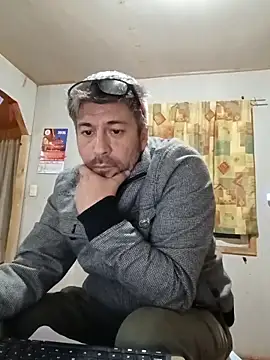 Gato2025perro online show from 21, 4, 2026