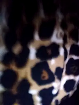 Thaohoa love online show from 22, 2, 2026