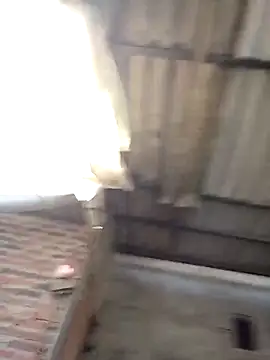 Lisa pusy online show from 29, 10, 2025