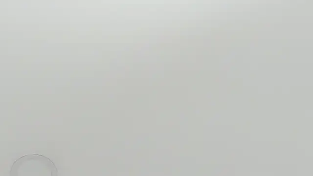 scarletross  online show from 26, 2, 2026