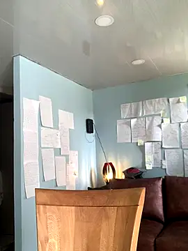 Snapshot of Canneela chatting on 29, 11, 2025 Canneela online show from 29, 11, 2025