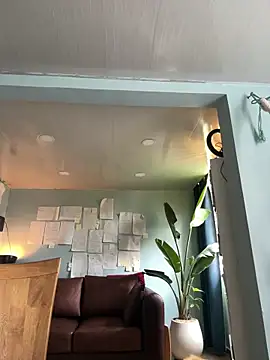 Canneela online show from 24, 3, 2026