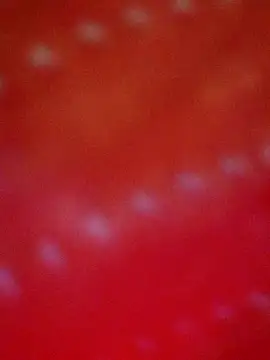 Snapshot of hotmahitha chatting on 7, 8, 2026 hotmahitha online show from 7, 8, 2026