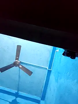 BlackCobraOwner online show from 28, 11, 2025