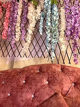 Tegui-sc online show from 13, 11, 2025