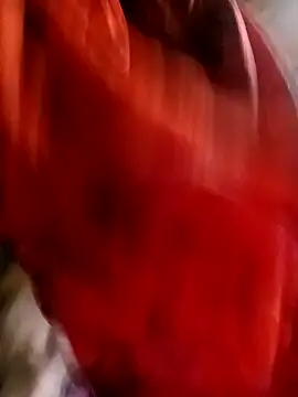 Snapshot of gulapi-gulistan180 chatting on 30, 10, 2025 gulapi-gulistan180 online show from 30, 10, 2025