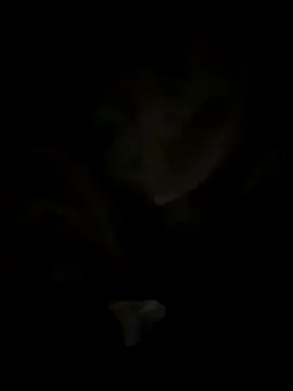 tran my online show from 29, 10, 2025