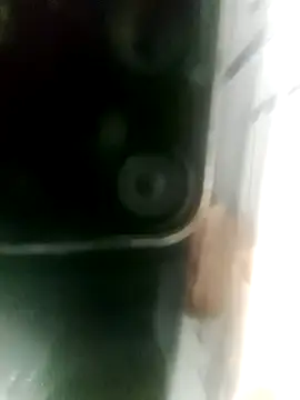 mia mancinii online show from 20, 11, 2025