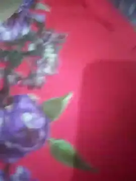 hezabi queen07 online show from 19, 9, 2025
