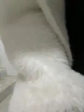 Cumonmme online show from 18, 1, 2026