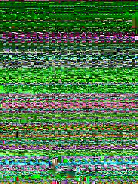 anhkiet huang online show from 15, 11, 2025