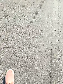 beerant online show from 16, 11, 2025