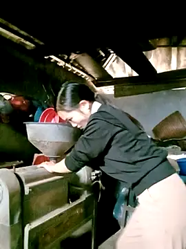 ngan-cute online show from 7, 2, 2026