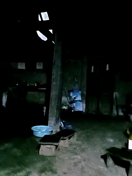 ngan-cute online show from 24, 2, 2026