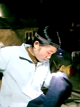 ngan-cute online show from 6, 3, 2026