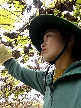 ngan-cute online show from 11, 1, 2026