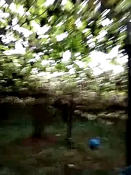 ngan-cute online show from 22, 10, 2025