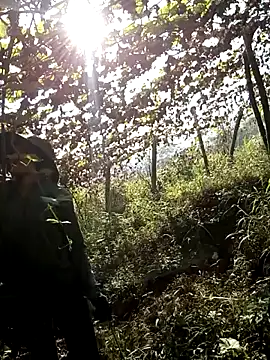 ngan-cute online show from 12, 1, 2026