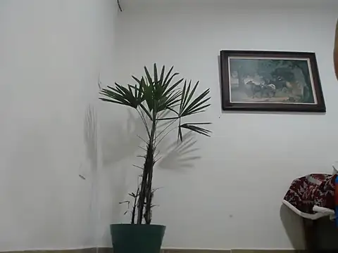 Young handsome online show from 11, 9, 2025