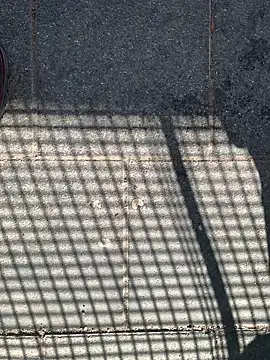 GeilerHSVFAN1989 online show from 12, 4, 2026