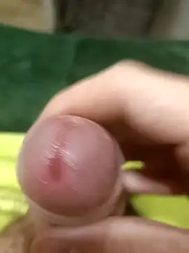 Wolf Okami SP online show from 29, 11, 2025