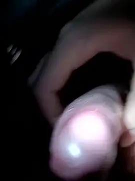 Wolf Okami SP online show from 8, 1, 2026