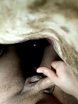 Snapshot of radois54 chatting on 11, 2, 2026 radois54 online show from 11, 2, 2026