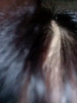 VanGau031694 online show from 8, 10, 2025