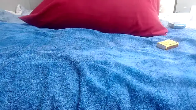 MissP11 online show from 3, 4, 2026