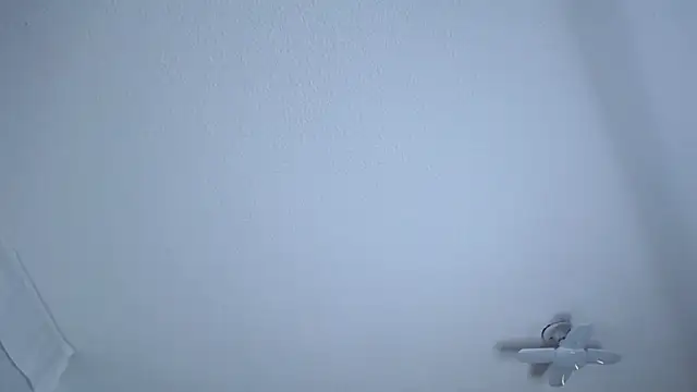  Charlotte Collins  online show from 20, 4, 2026