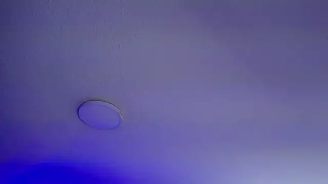  Charlotte Collins  online show from 9, 3, 2026