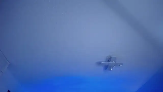  Charlotte Collins  online show from 13, 3, 2026